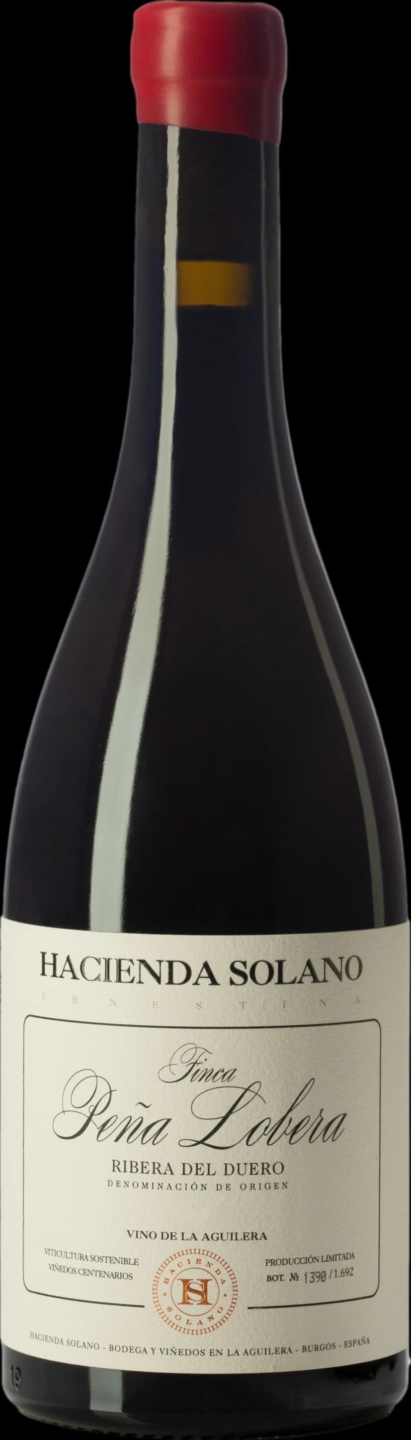 Hacienda Solano Finca Pena Lobera 2021