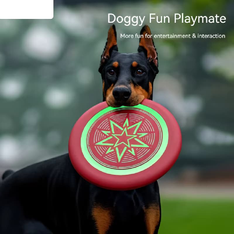 Tragbare Eva-Hunde-Leuchtscheibe, weiche, bissfeste Haustier-Trainingsspielzeuge, Flugscheibe für kleine, mittelgroße und große Hunde.