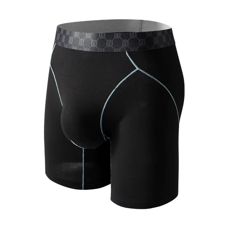 Herren Boxer Bambus Faser Unterwäsche Mann Höschen Homme Ropa Atmungsaktive U Konvexen Beutel Lange Unterhose Plus Größe Boxer Shorts M-XXL