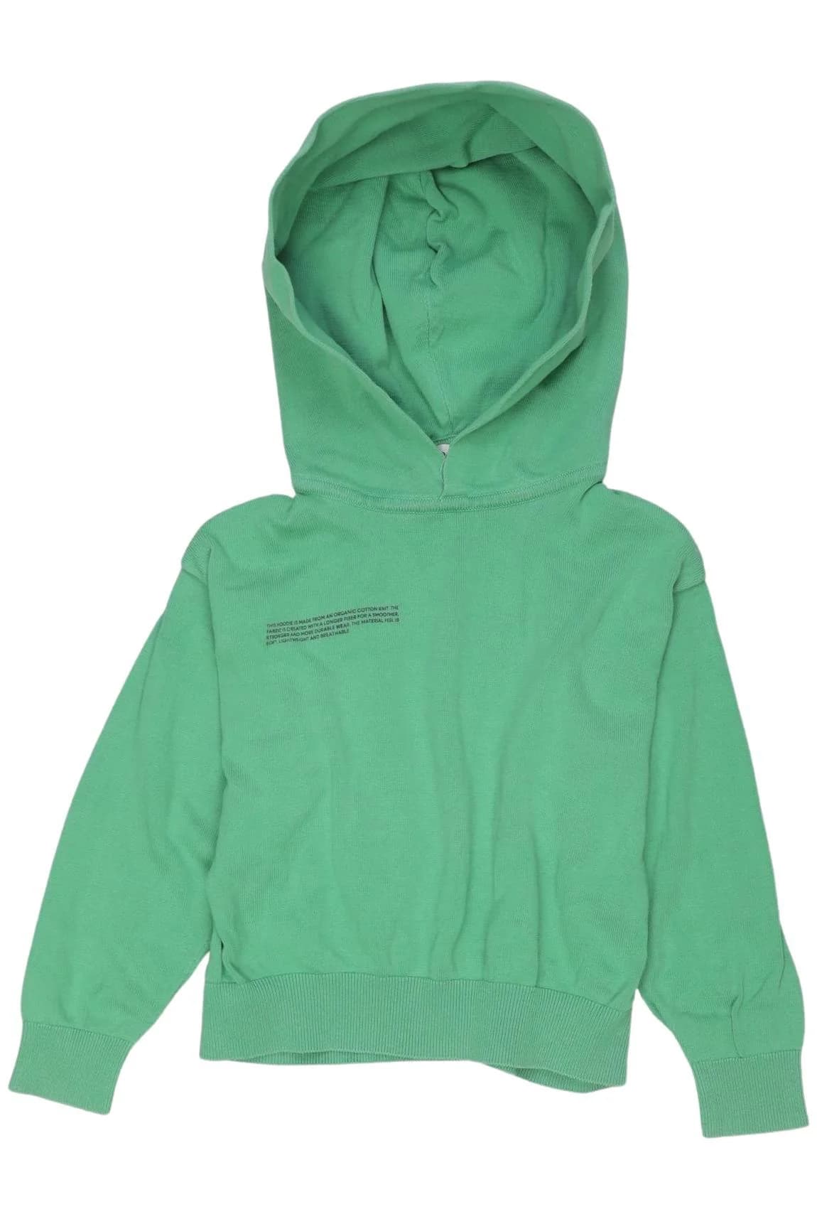 Pangaia Jungen Kapuzenpullover oder Sweater, Grün, Gr. EU 104