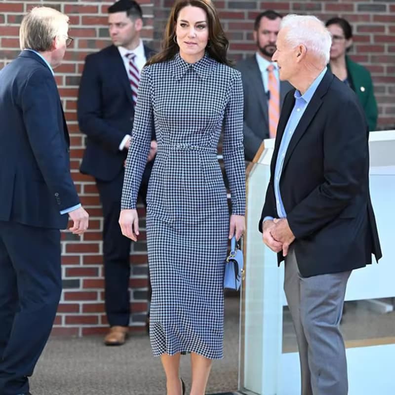 Prinzessin Kate Hahnentritt Kleid Vintage Swallow Gird Frauen Kleid Lange Hülse OL Kleider