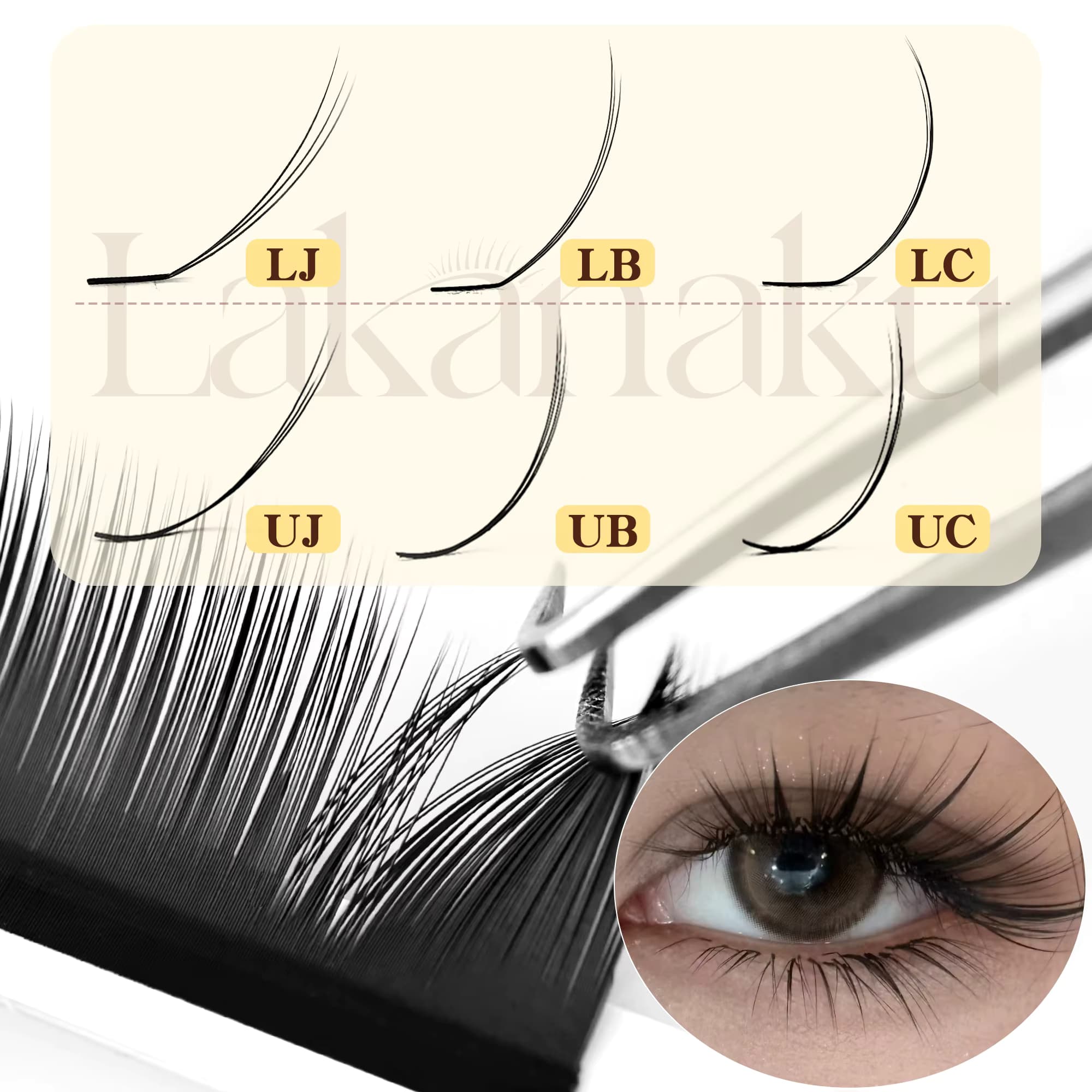 UJ LJ Vorgebundene Spike-Wimpern Camellia Wimpern Automatisch blühende Wimpernverlängerungen Blooming Lash LB UB Wimpern-Tray Alle Größen