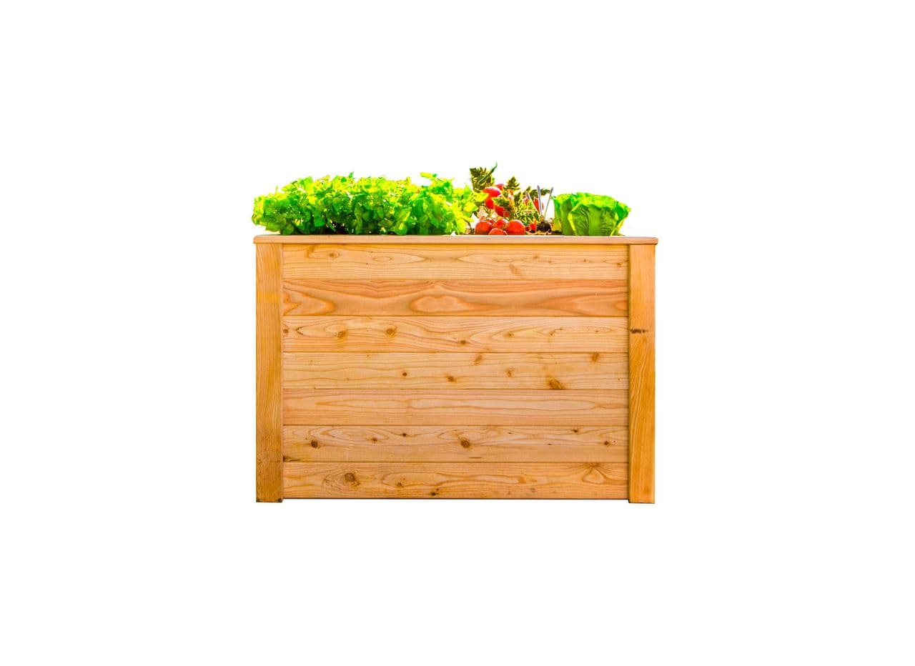 50NRTH Westmann Hochbeet Lärche 100, 100x65x66 cm. Offer from Norma24 DE.