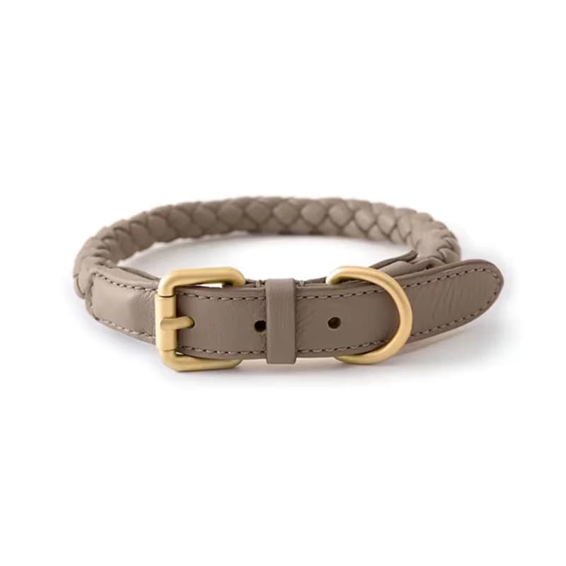 Hundehalsband aus PU-Lederlegierung, langlebig, modisch, gestricktes Zugseil für mittelgroße Hunde, Outdoor-Walking-Zubehör