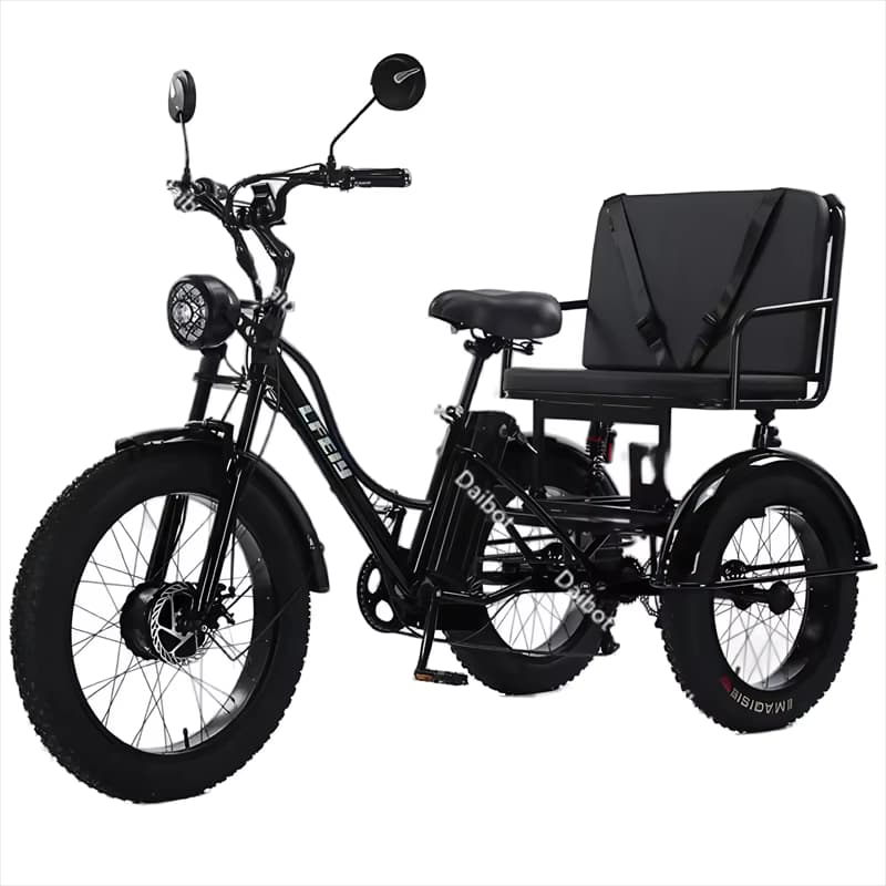 Leistungsstarkes 3-Rad-Elektro-Dreirad mit Fettreifen für Erwachsene, Zweisitzer, 750W, für Berg, Schnee und Familie, Elektrofahrrad, Trike, Fahrrad