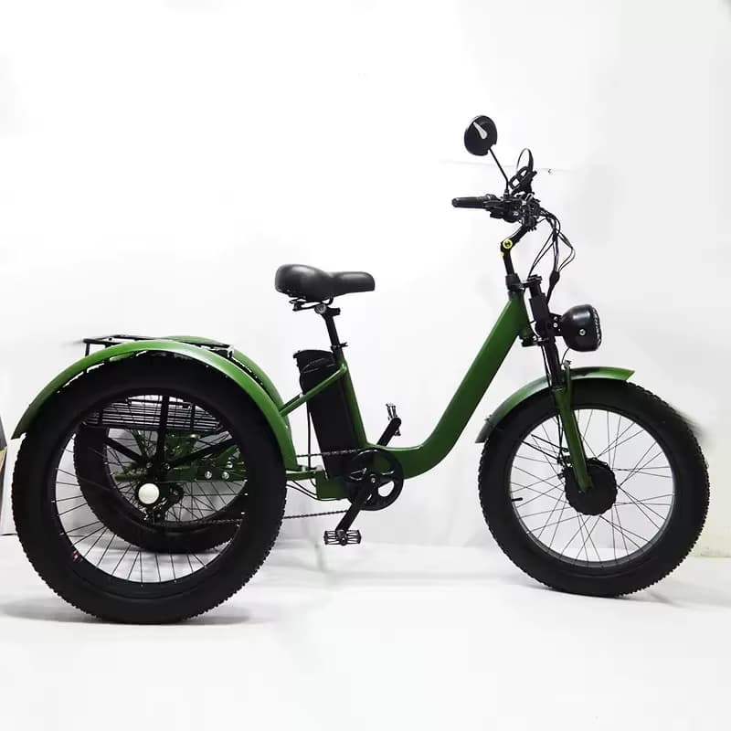 750W 48V Elektrisches Dreirad mit Fettreifen 24 Zoll für Erwachsene Männer Elektrofahrrad Mountainbike 3 Räder Abnehmbarer Akku